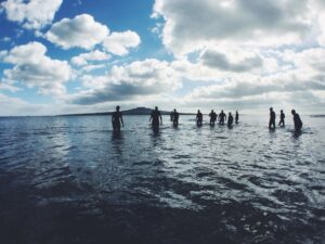 Le Darwinisme et l’émergence de l’économie collaborative